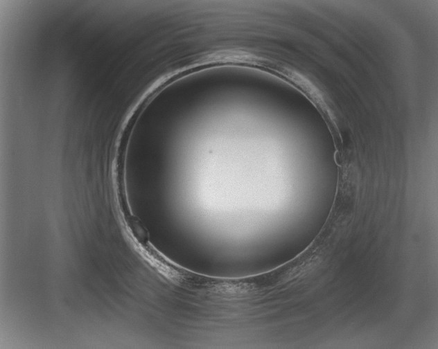 X0000084010947200702161158