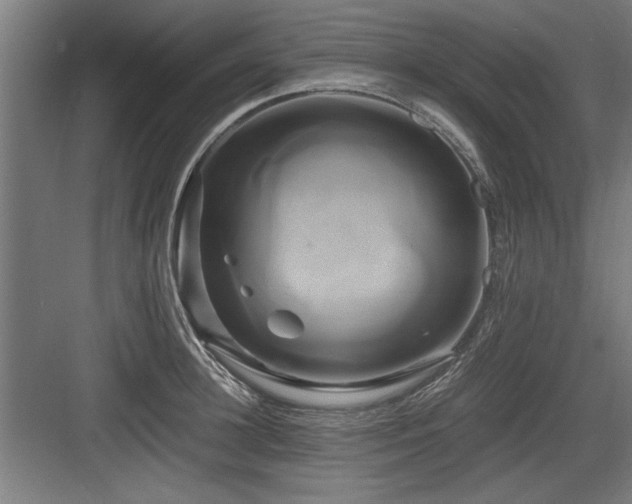 X0000084010948200702161158