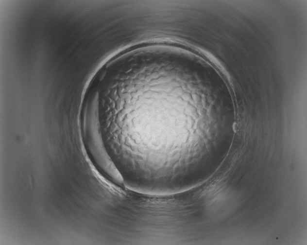 X0000084010951200702161158