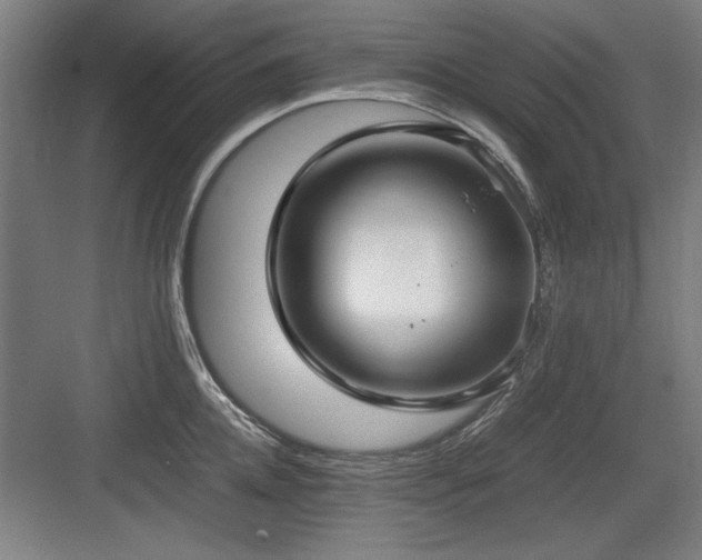 X0000084010952200702161158