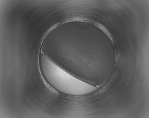 X0000084010954200702161158
