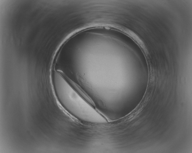 X0000084010958200702161158