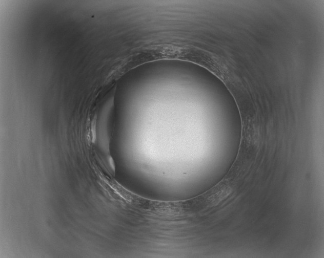 X0000084010962200702161157