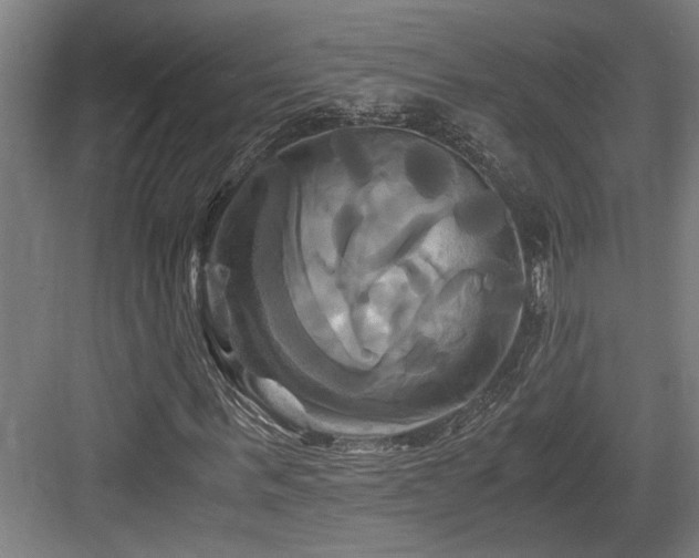 X0000084010963200702161157