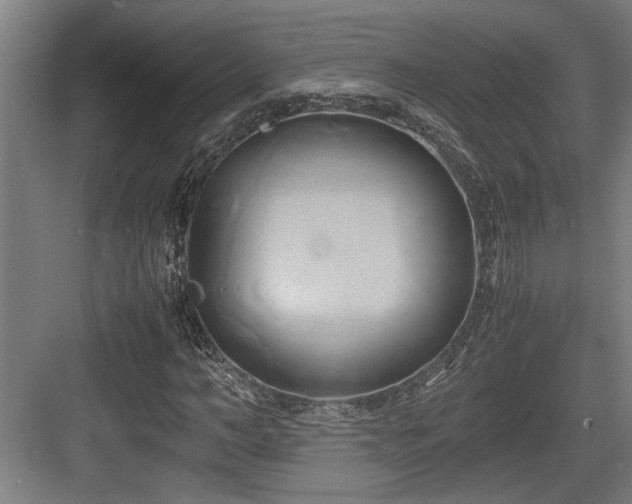 X0000084010966200702161157