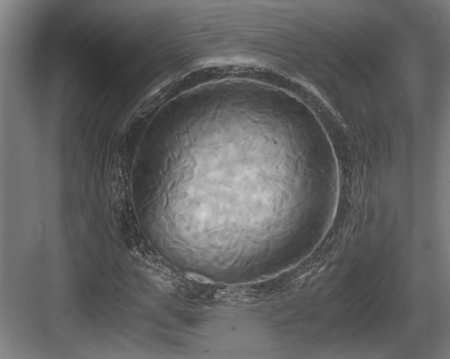 X0000084010967200702161157