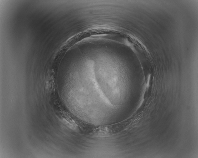 X0000084010968200702161157