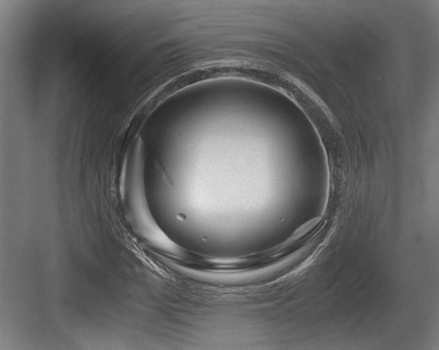 X0000084010969200702161157