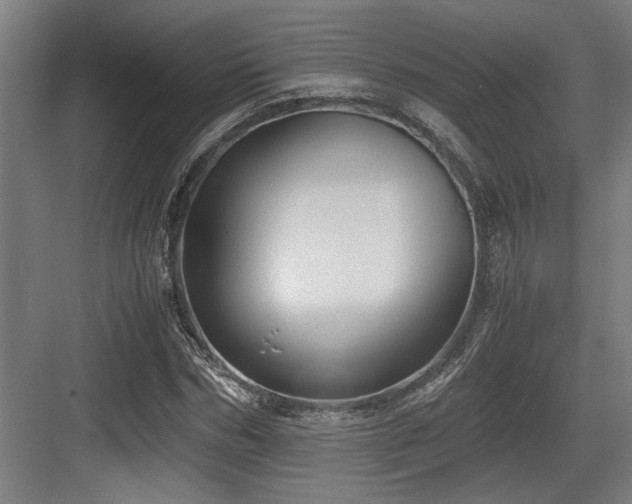 X0000084010970200702161157