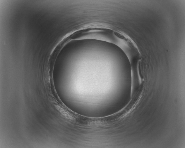 X0000084010973200702161157