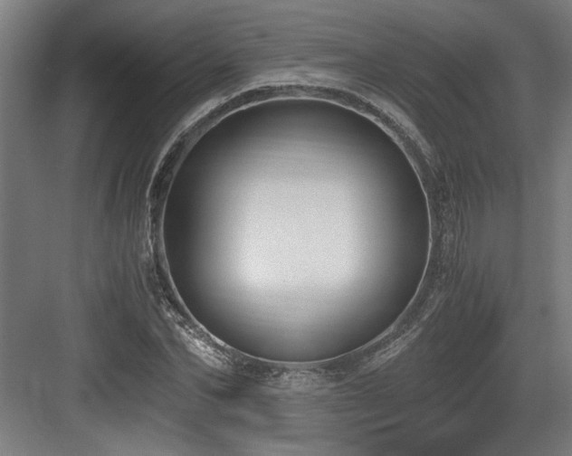 X0000084010974200702161157