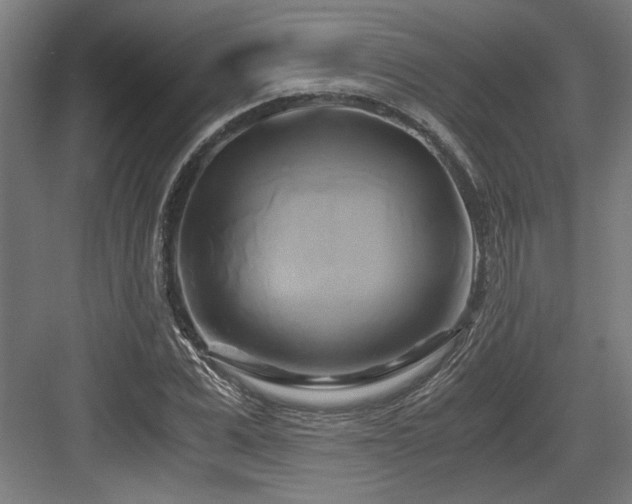 X0000084010975200702161157