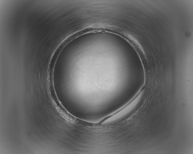 X0000084010976200702161157