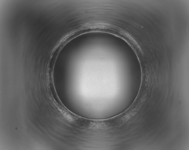 X0000084010978200702161157
