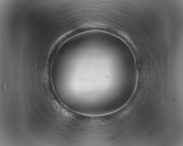 X0000084010979200702161157