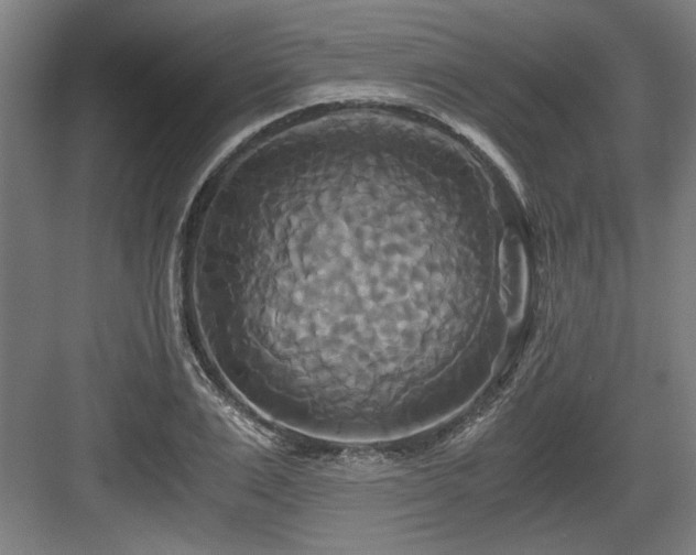 X0000084010983200702161157