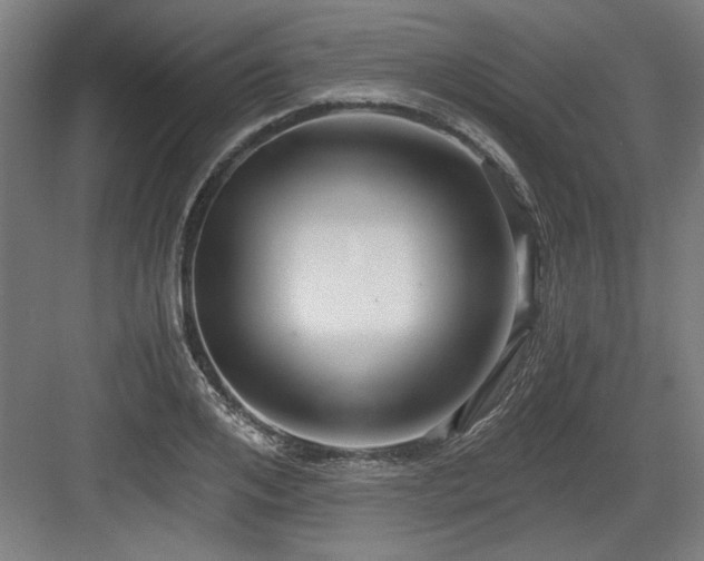 X0000084010984200702161157