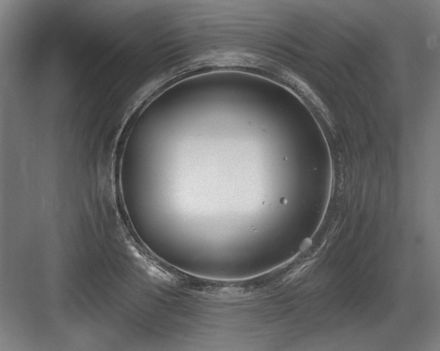 X0000084010986200702161157