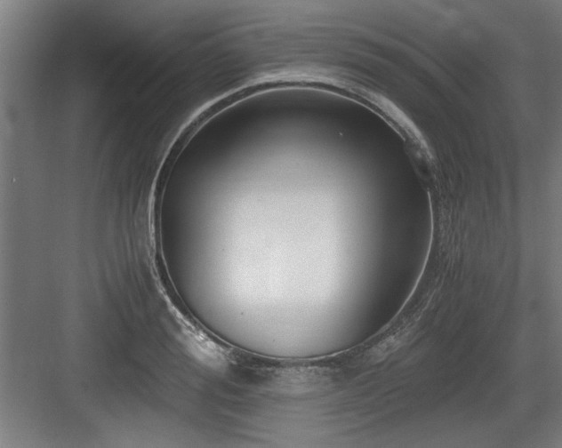 X0000084010988200702161157
