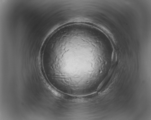 X0000084010990200702161157
