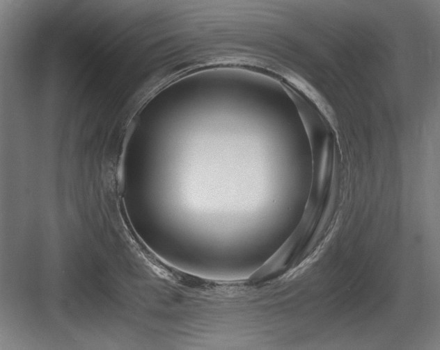 X0000084010993200702161157