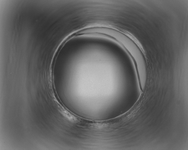 X0000084010996200702161157