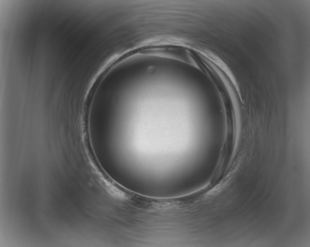 X0000084010997200702161157