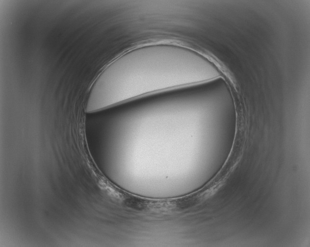 X0000084011001200702161157