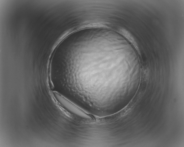 X0000084011002200702161156