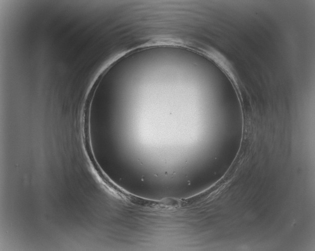 X0000084011003200702161156