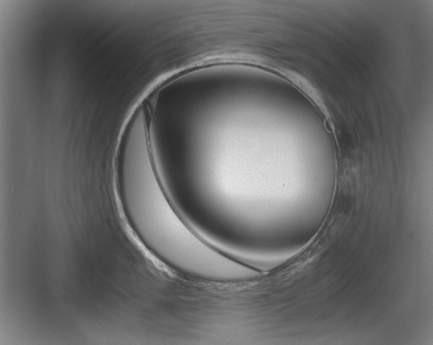 X0000084011005200702161156