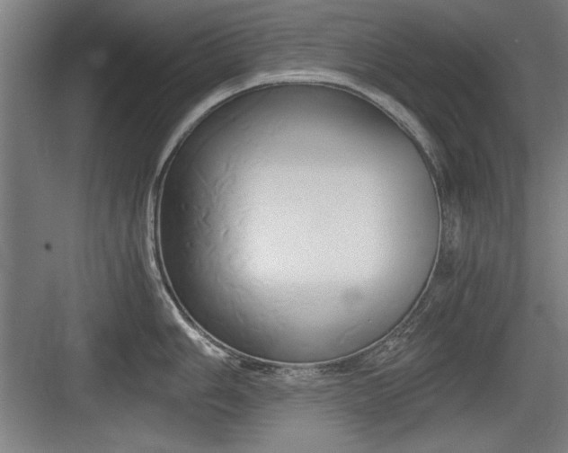 X0000084011006200702161156