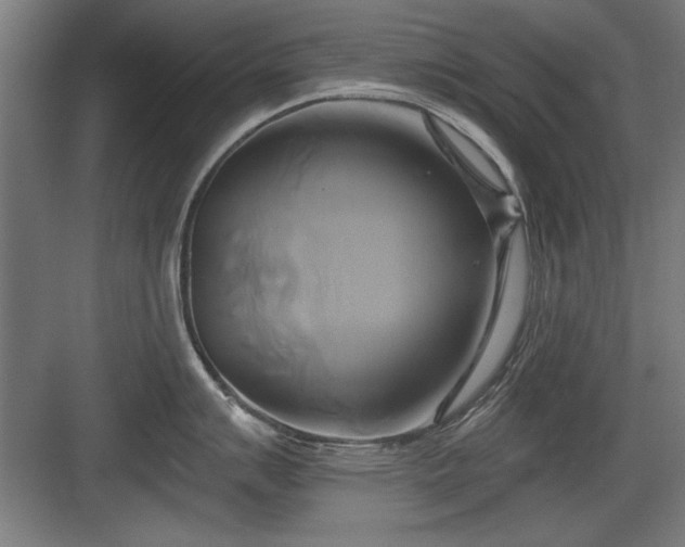 X0000084011007200702161156
