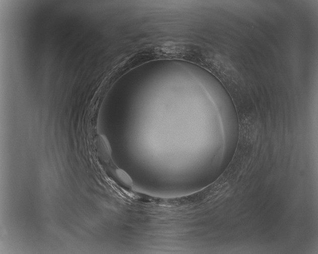 X0000084011009200702161156