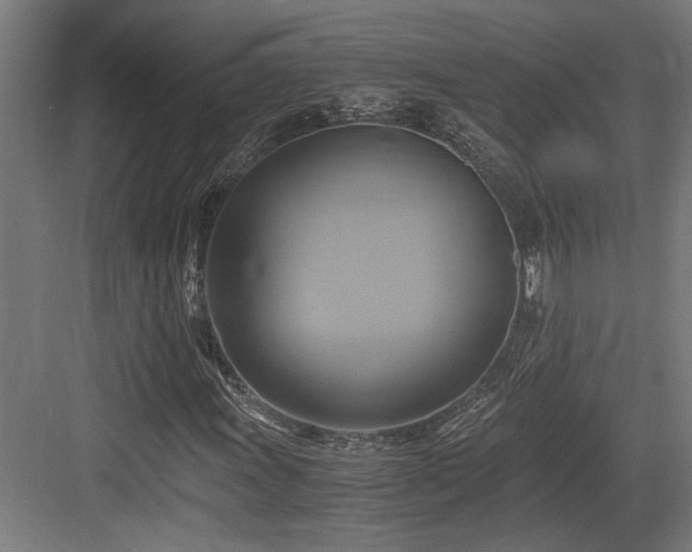 X0000084011011200702161156