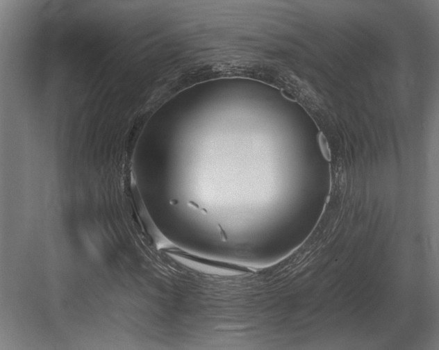 X0000084011012200702161156