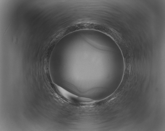X0000084011014200702161156