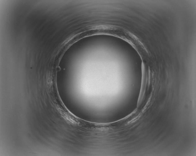 X0000084011017200702161156