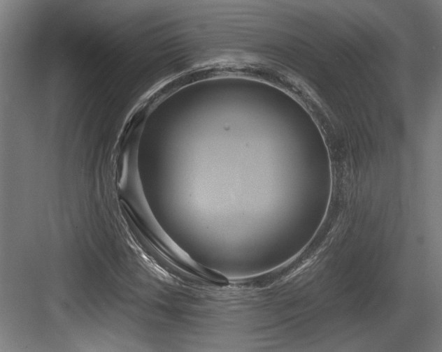 X0000084011018200702161156