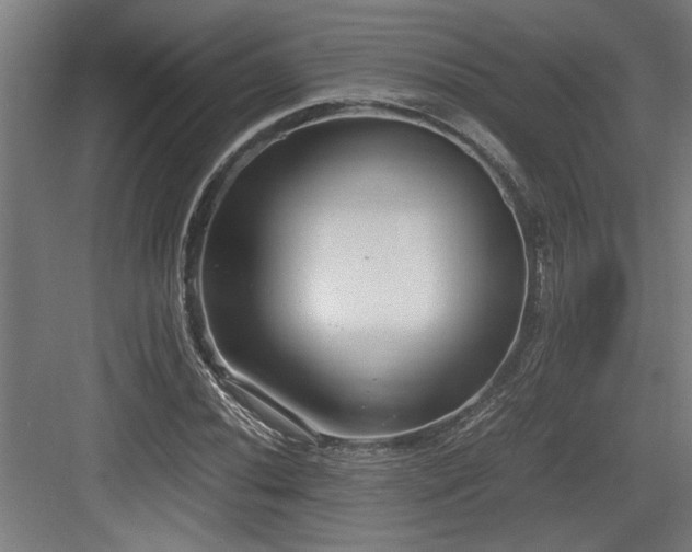 X0000084011020200702161156