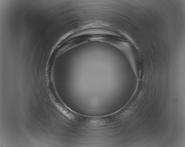 X0000084011026200702161156