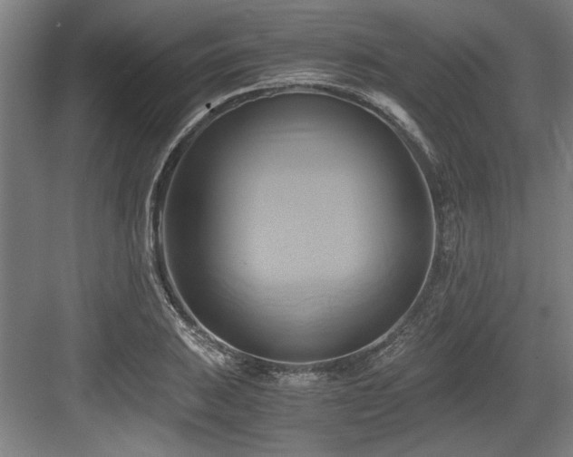 X0000084011031200702161156