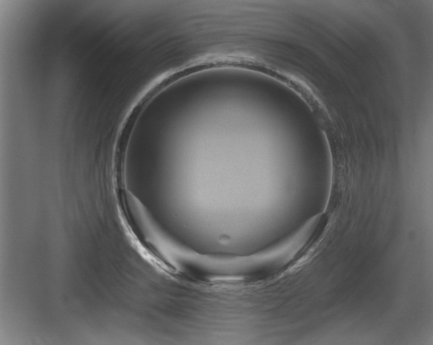 X0000084011038200702161156