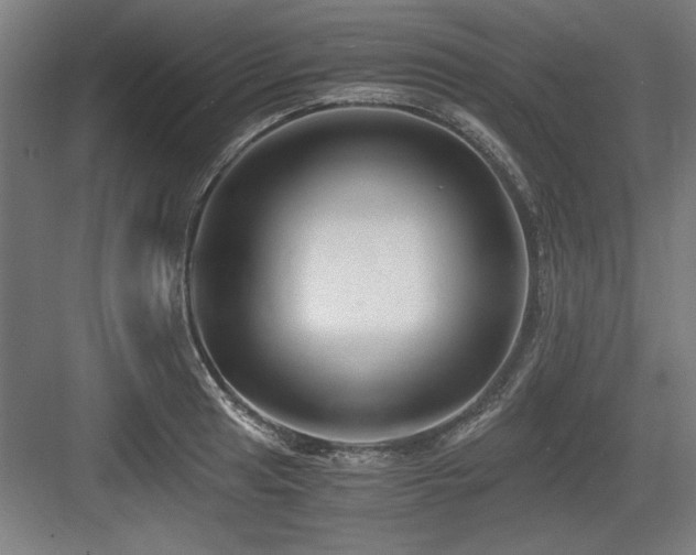 X0000084011041200702161156