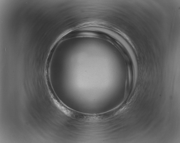 X0000084011042200702161156