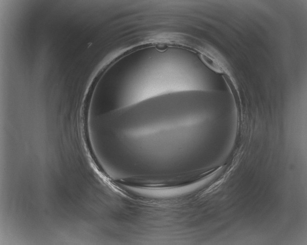 X0000084011045200702161156