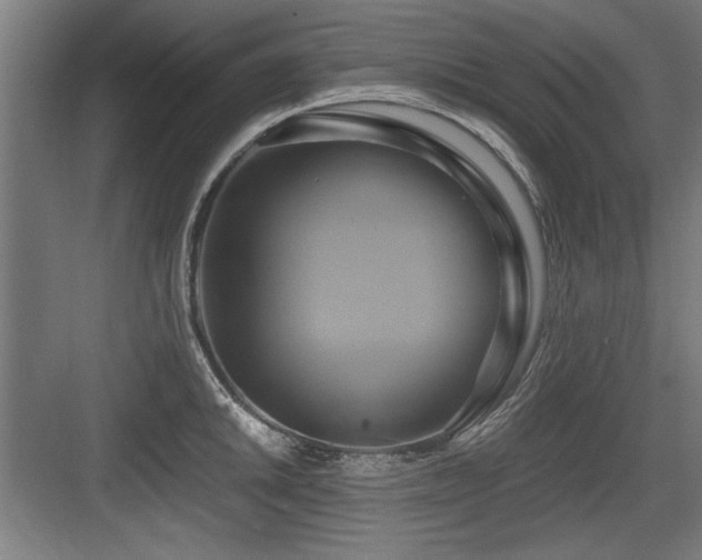 X0000084011046200702161156