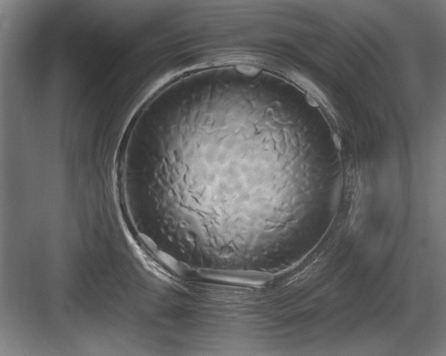 X0000084011047200702161156