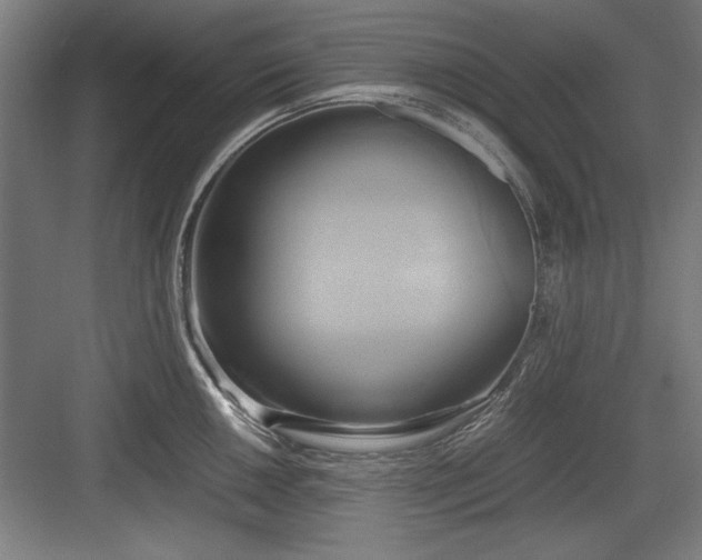 X0000084011050200702161156