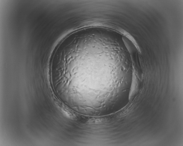 X0000084011051200702161156